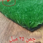 چمن مصنوعی 25 میل آسیا