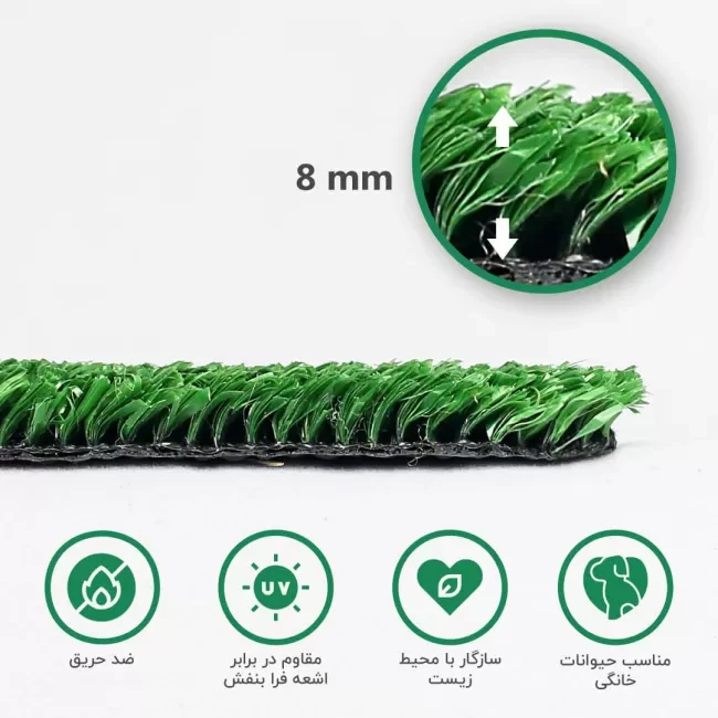 1725568334_37391 (1)